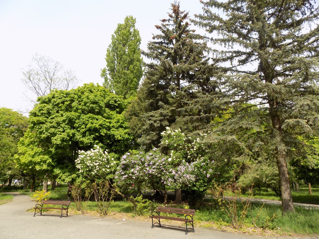 Park Jakuba Wagi
