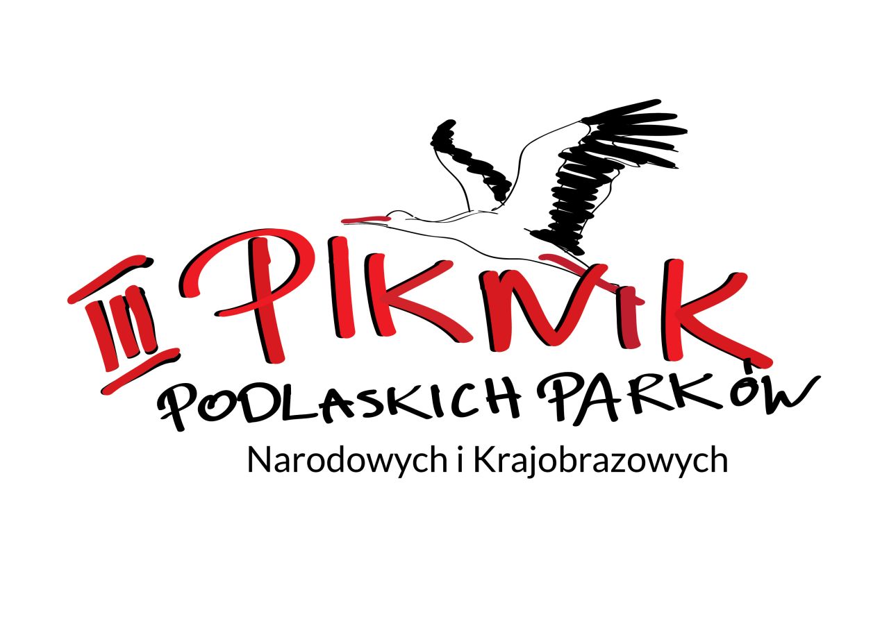 logo PIKNIKU_2023.jpg